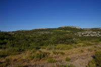 La garrigue de Figuires au fond