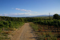 Le Clos de la Cagarole