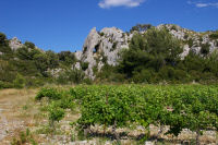 Un il dans la falaise