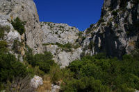 Garrigues des Monges