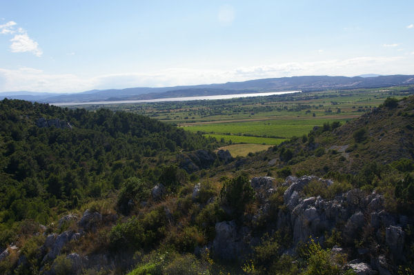 Au loin l'tang de Bages depuis la garrigues de Monges