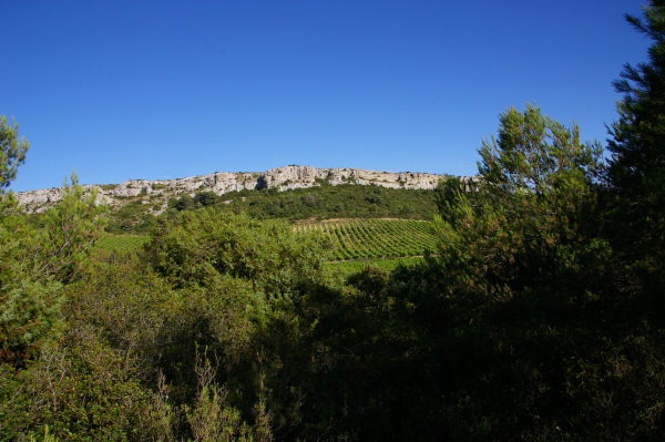 Les falaises de la garrigue des Figuires