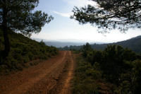 Le chemin  Serrat de l'Epine