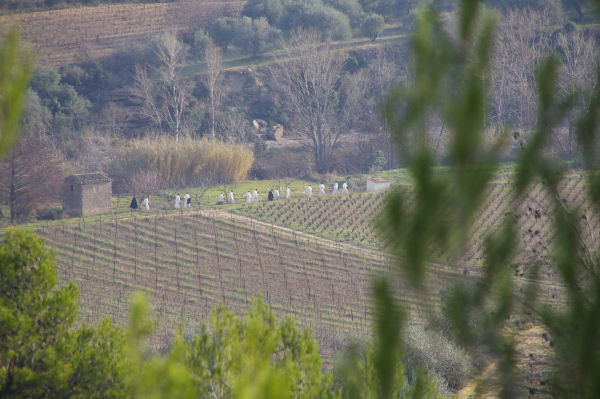 Les moines de l'Abbaye Bndictine de Lagrasse en balade sur les bords de l'Orbieu