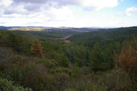 La valle du ruisseau des Merlaux, au fond, Flines-Minervois