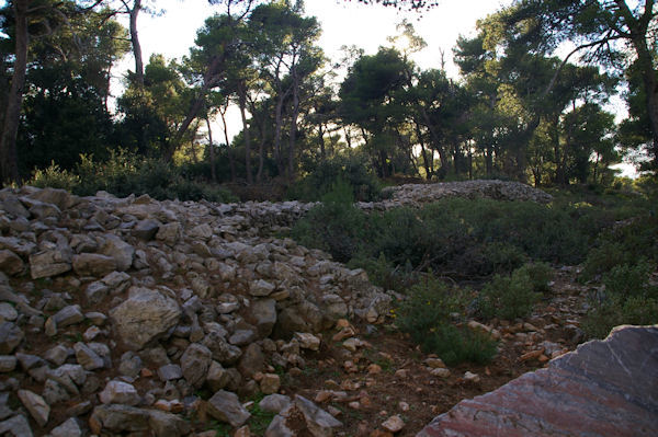 Anciennes fortifications du Cros datant du 8ieme sicle avant JC