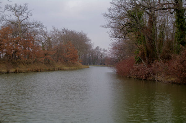 Le Canal du Midi vers La Barrel