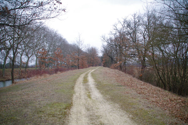 Sur les bords du Canal du Midi
