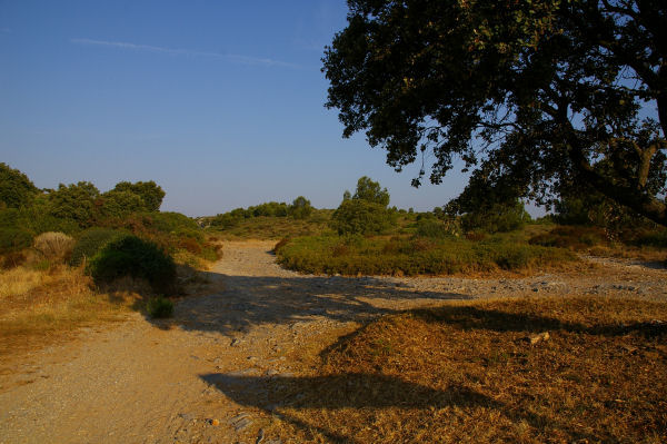 Le dpart du chemin vers l'Oeil Doux  St Pierre sur Mer