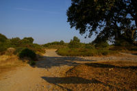 Le dpart du chemin vers l'Oeil Doux  St Pierre sur Mer