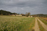 Notre gte au Chteau St Auriol