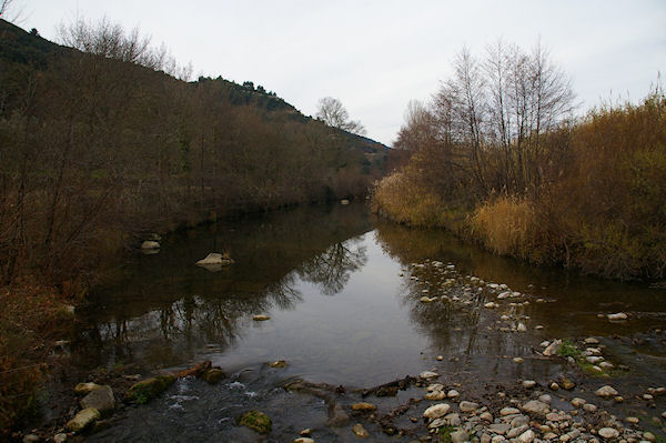 L'Orbieu sous St Pierre des Champs