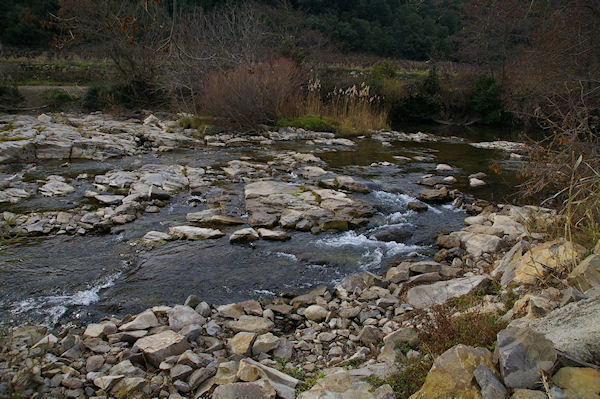 L'Orbieu vers St Pierre des Champs