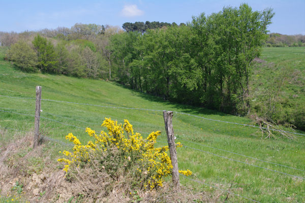 Vers le Barralet