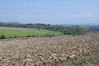 Le paysage  la Fleur de Lys