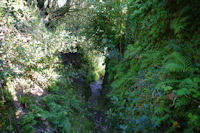 Le petit chemin sous Verdun en Lauragais