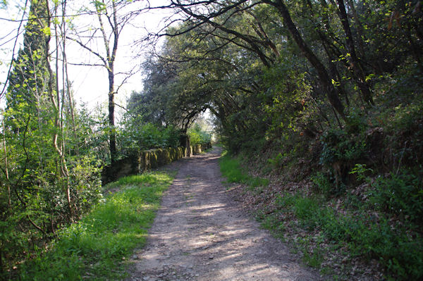 Prs du cimetire de Verdun en Lauragais