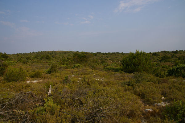 La garrigue de Pech Redon