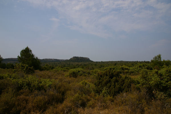 Le Pech Redon depuis la garrigue de l'Hospitalet