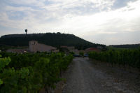 Les vignes de l'Hospitalet