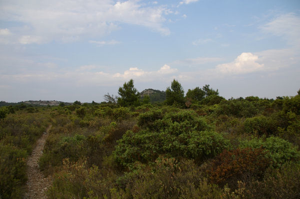 Le Pech Redon depuis la Combe des Treilles