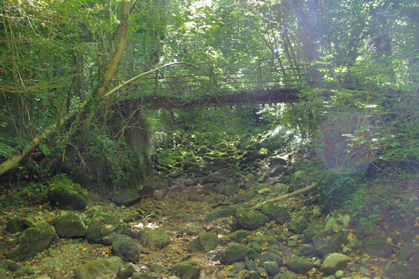 Passerelle sur le Blau  sec