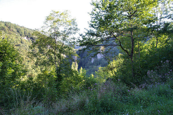 Le vallon du Blau