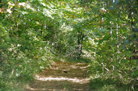 Le chemin peu avant le Pas de la Bessegne