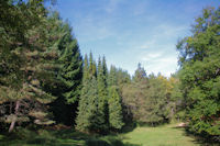 La clairiere vers les ruines d'en Dominique