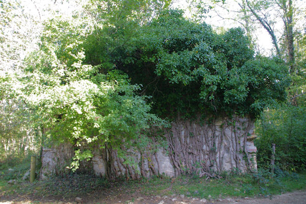 Les ruines d_en Dominique