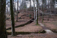 Ddale sous le barrage du Lampy Neuf