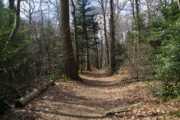 Le chemin vers Lampy Vieux