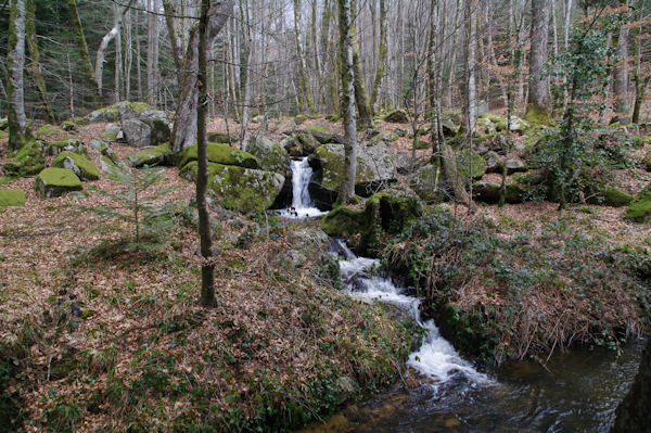 Une cascade du ruisseau de Bergnassonne