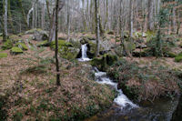 Une cascade du ruisseau de Bergnassonne