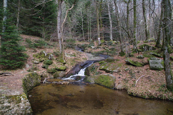 Le ruisseau de Bergnassonne