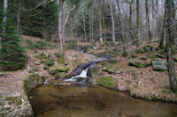 Le ruisseau de Bergnassonne