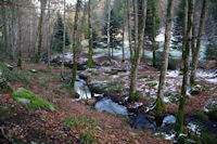 L'Alzeau vers la prise d'eau