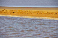 Les Salins de Gruissan 1