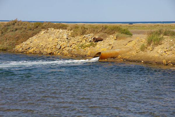 Remplissage des Salins de Gruissant