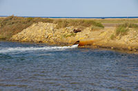 Remplissage des Salins de Gruissant