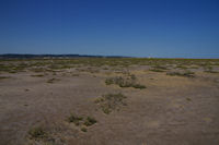 La plage du Grazel, en direction des salins de Gruissan