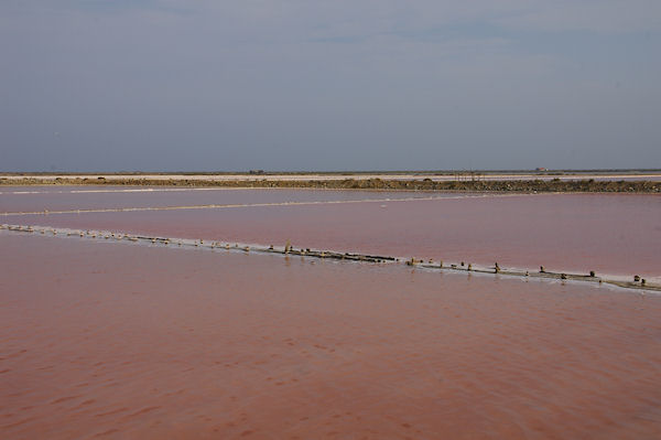 Jeu de couleurs dans les salins de Gruissan