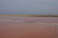 Jeu de couleurs dans les salins de Gruissan