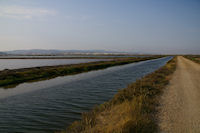 Les salins de Gruissan