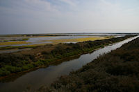 Les salins de Gruissan