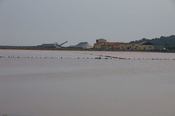 Les installations de purification du sel  Gruissan