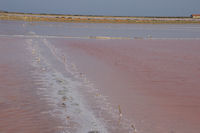 Jeu de couleurs dans les salins de Gruissan