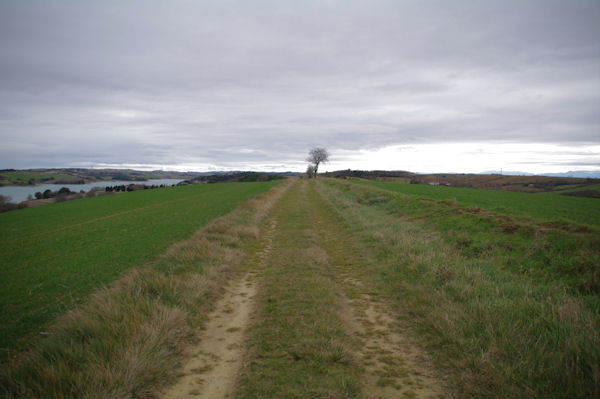 Le chemin au dessus du lac de la Ganguise