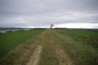 Le chemin au dessus du lac de la Ganguise