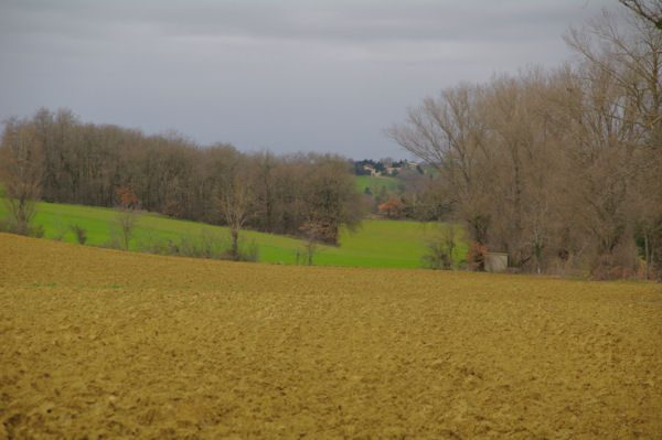 Le vallon du ruisseau des Pradels